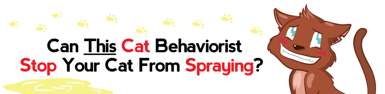 Cat Spray Stop product image