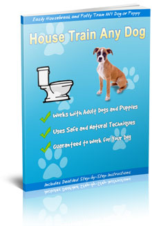 How To Housetrain Any Dog product image